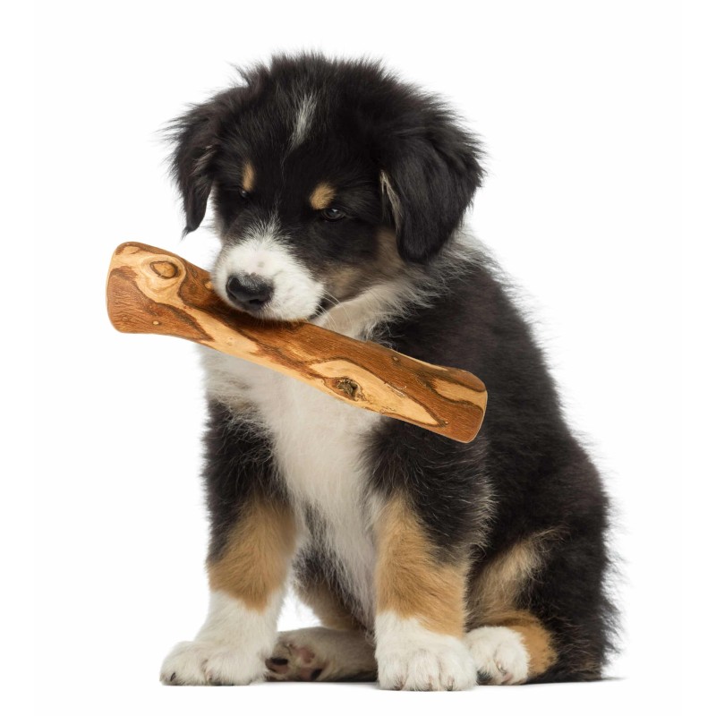 Olive Wood Chewing Bone for Dogs – Natural & Durable Chew Toy | Artisraw Tunisie