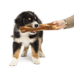 Olive Wood Chewing Bone for Dogs – Natural & Durable Chew Toy | Artisraw Tunisie