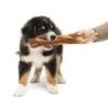 Olive Wood Chewing Bone for Dogs – Natural & Durable Chew Toy | Artisraw Tunisie