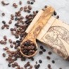 Wooden Spoon for Coffee