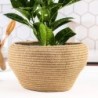 Handwoven Straw Basket for Potted Plant