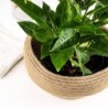 Handwoven Straw Basket for Potted Plant